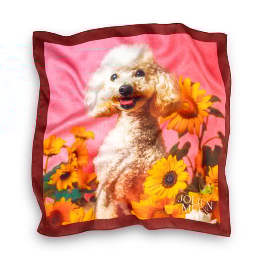 JolienMees - poodle power - 49.50 euro - witte achtergrond.jpg